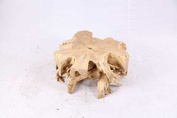 Free Form Teak Root Coffee Table 4