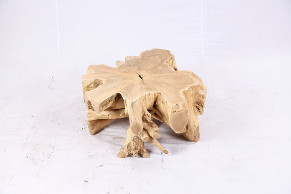 Free Form Teak Root Coffee Table 4
