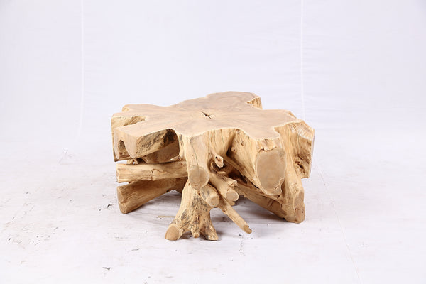 Free Form Teak Root Coffee Table 4