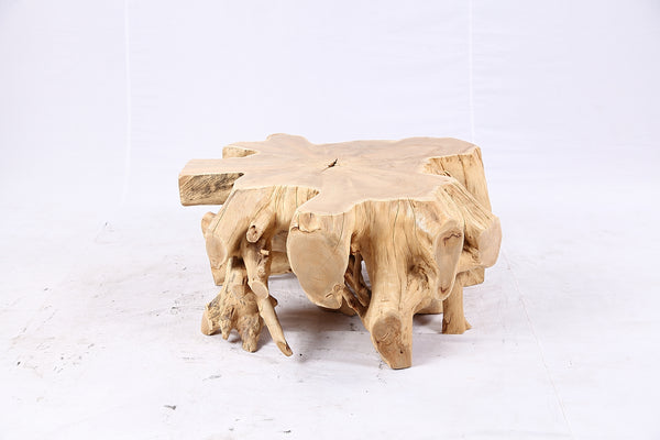 Free Form Teak Root Coffee Table 4