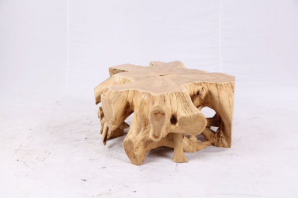 Free Form Teak Root Coffee Table 4