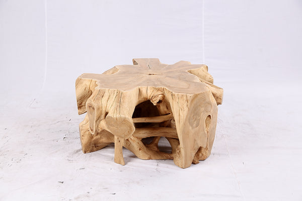 Free Form Teak Root Coffee Table 4
