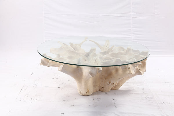 47” Round Sculptured Teak Root Coffee Table 52