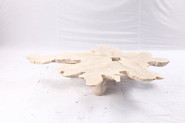Free Form Living Edge Bleached One Slab Coffee Table 281