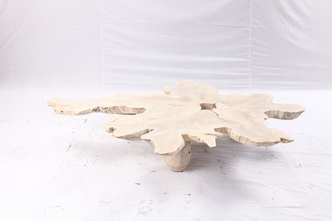 Free Form Living Edge Bleached One Slab Coffee Table 281