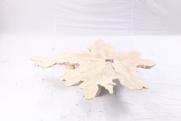 Free Form Living Edge Bleached One Slab Coffee Table 281