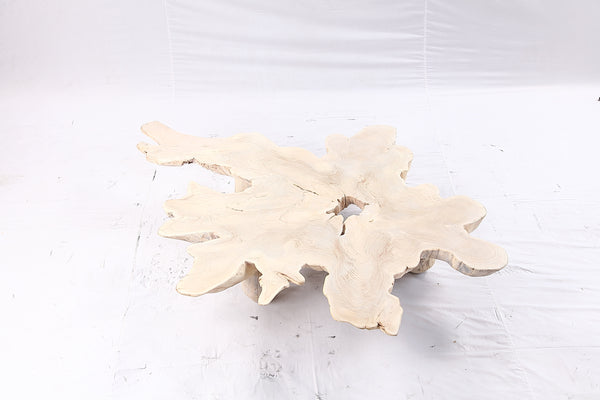 Free Form Living Edge Bleached One Slab Coffee Table 281