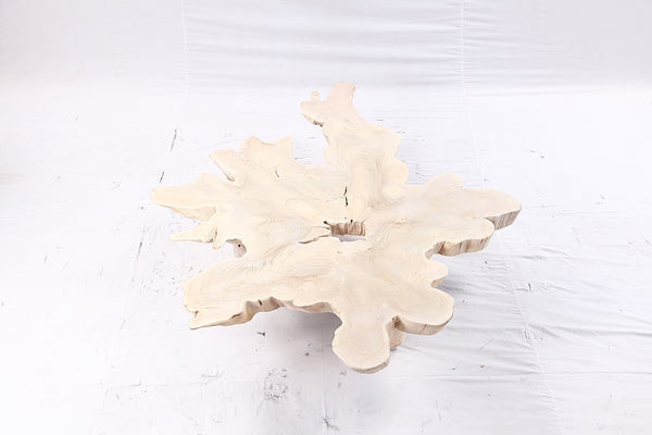 Free Form Living Edge Bleached One Slab Coffee Table 281