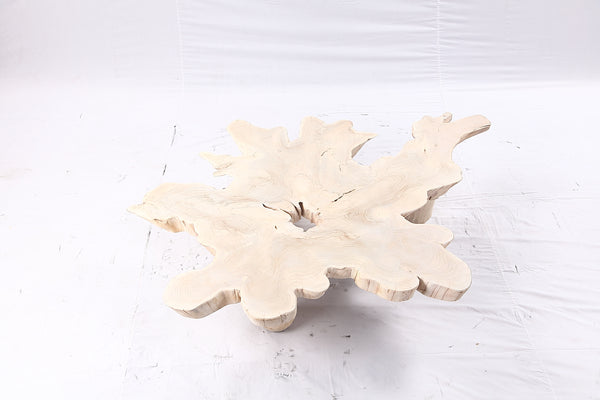 Free Form Living Edge Bleached One Slab Coffee Table 281