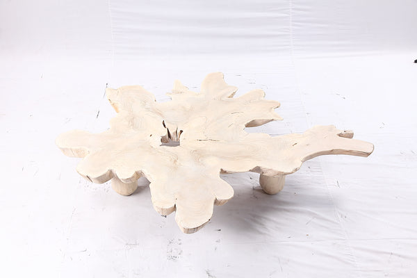 Free Form Living Edge Bleached One Slab Coffee Table 281