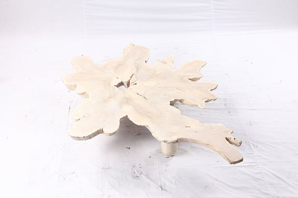 Free Form Living Edge Bleached One Slab Coffee Table 281