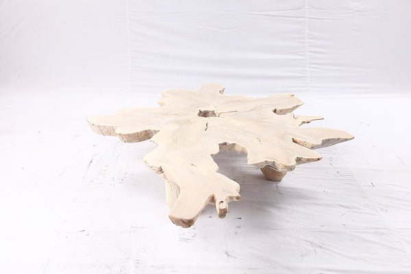 Free Form Living Edge Bleached One Slab Coffee Table 281