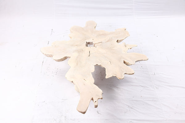 Free Form Living Edge Bleached One Slab Coffee Table 281