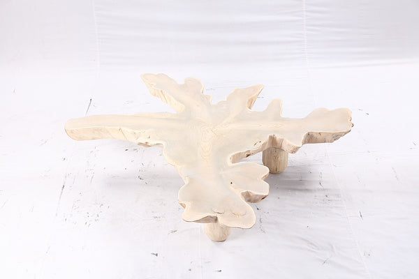 Free Form Living Edge Bleached One Slab Coffee Table 283