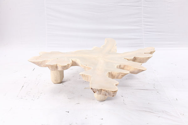Free Form Living Edge Bleached One Slab Coffee Table 283