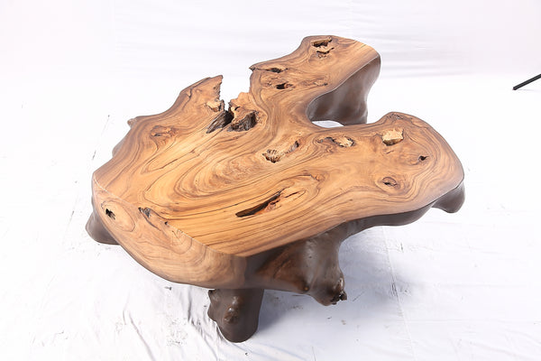Brown Free Form Organic Coffee Table
