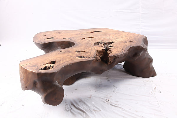 Brown Free Form Organic Coffee Table