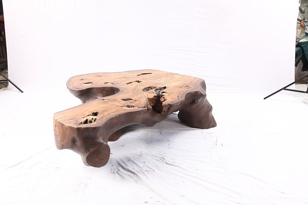 Brown Free Form Organic Coffee Table