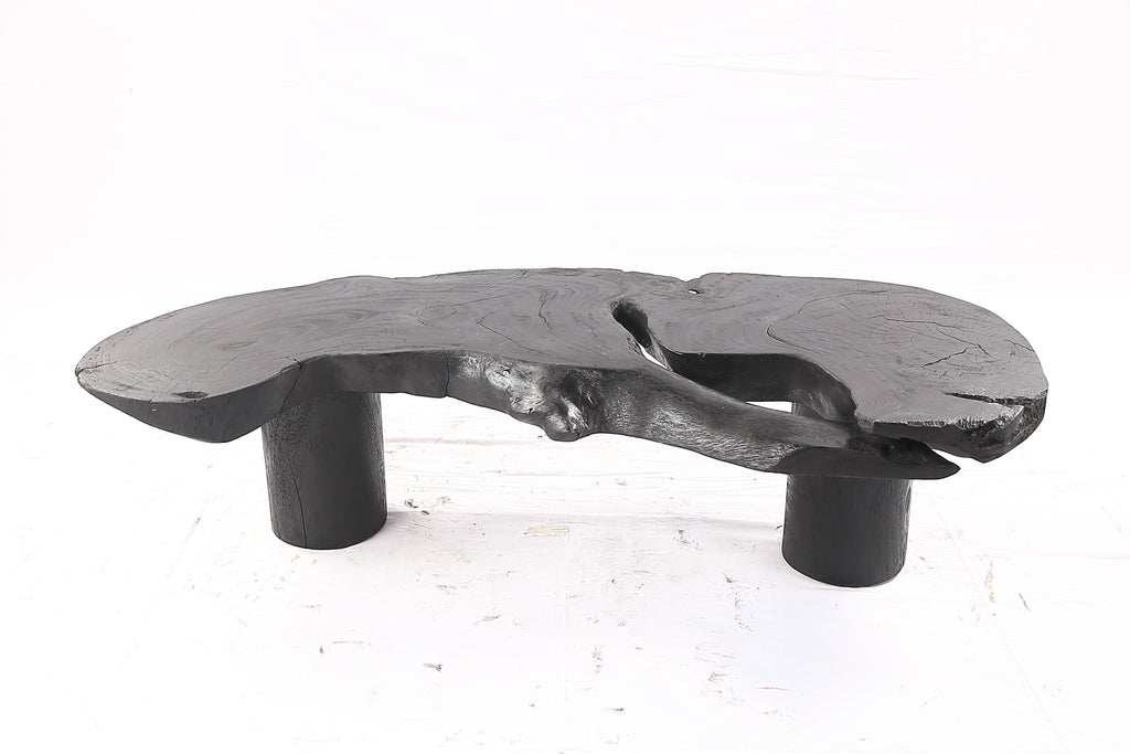 One Slab Free Form Black Coffee Table