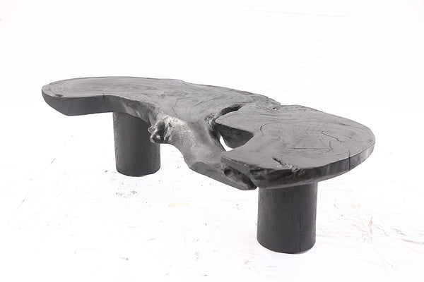 One Slab Free Form Black Coffee Table