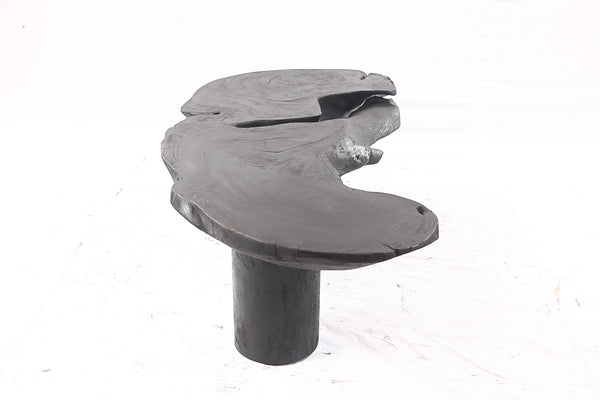 One Slab Free Form Black Coffee Table