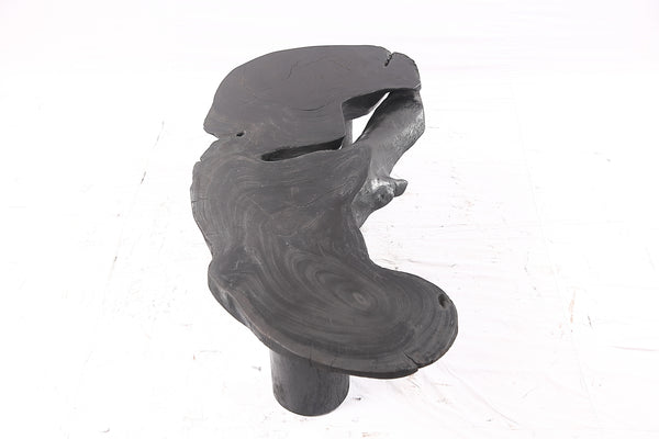 One Slab Free Form Black Coffee Table