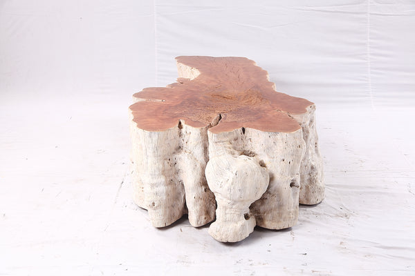 Organic Lychee Block Coffee Table W1