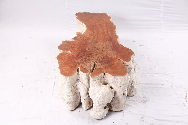 Organic Lychee Block Coffee Table W1