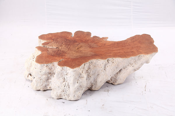 Organic Lychee Block Coffee Table W1