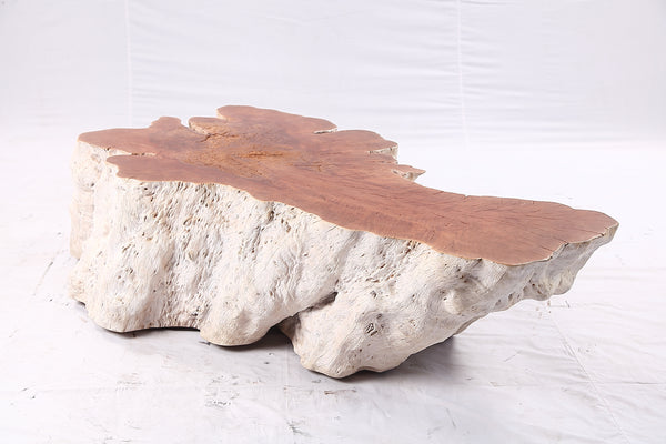 Organic Lychee Block Coffee Table W1