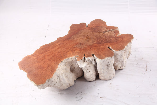 Organic Lychee Block Coffee Table W1
