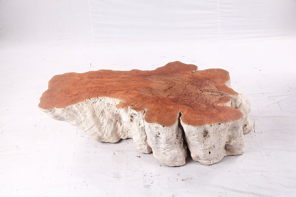 Organic Lychee Block Coffee Table W1