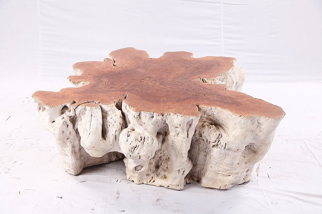 Organic Lychee Block Coffee Table W2