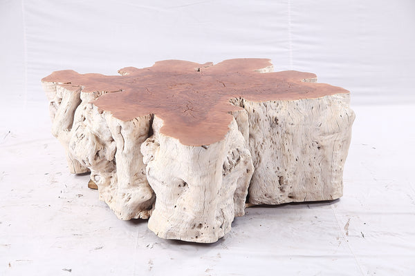 Organic Lychee Block Coffee Table W2