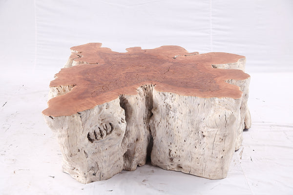 Organic Lychee Block Coffee Table W2