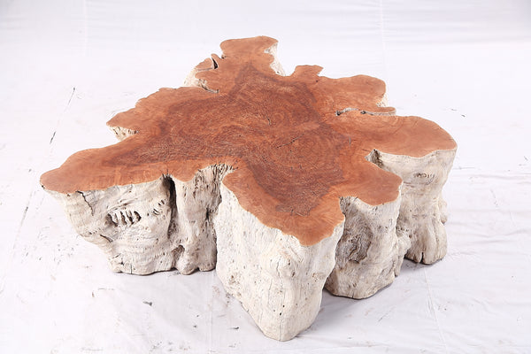 Organic Lychee Block Coffee Table W2