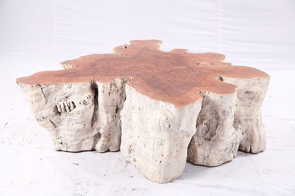 Organic Lychee Block Coffee Table W2