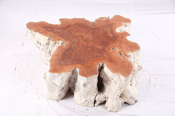 Organic Lychee Block Coffee Table W2