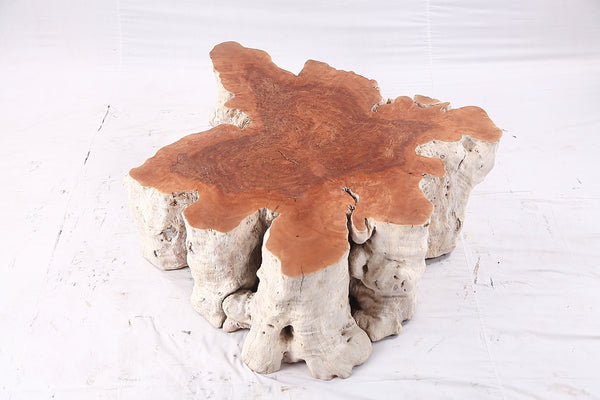 Organic Lychee Block Coffee Table W2