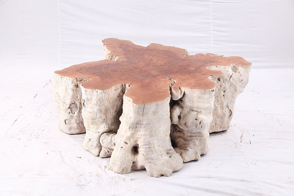 Organic Lychee Block Coffee Table W2