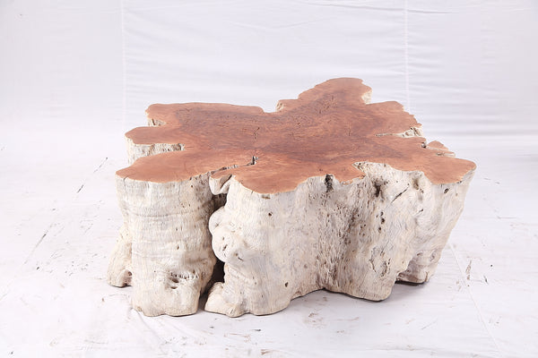 Organic Lychee Block Coffee Table W2