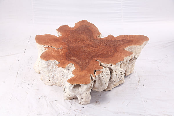 Organic Lychee Block Coffee Table W2
