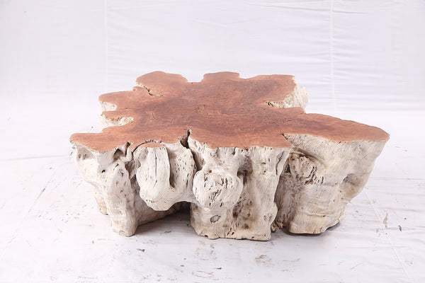 Organic Lychee Block Coffee Table W2