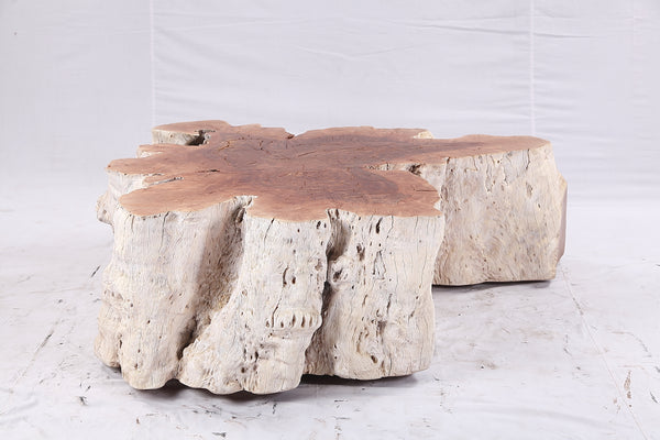 Organic Lychee Block Coffee Table W3