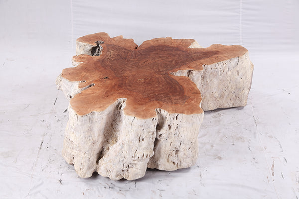 Organic Lychee Block Coffee Table W3