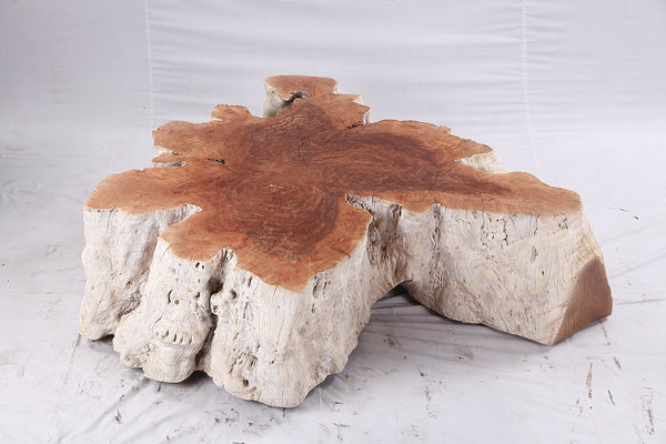 Organic Lychee Block Coffee Table W3