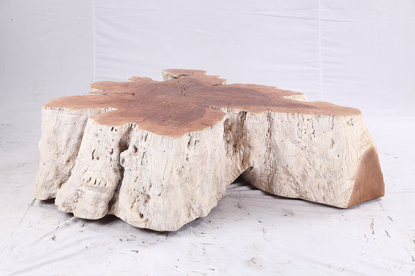 Organic Lychee Block Coffee Table W3