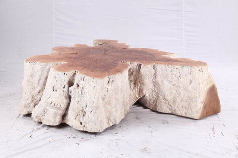 Organic Lychee Block Coffee Table W3