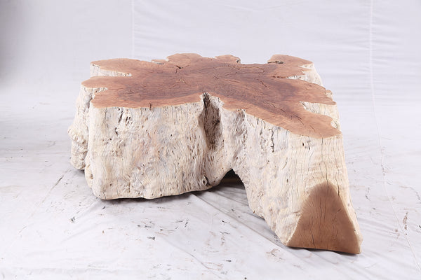 Organic Lychee Block Coffee Table W3