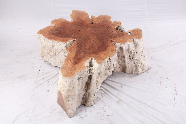 Organic Lychee Block Coffee Table W3